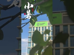 Китайские поставщики вакуумных печей для спекания